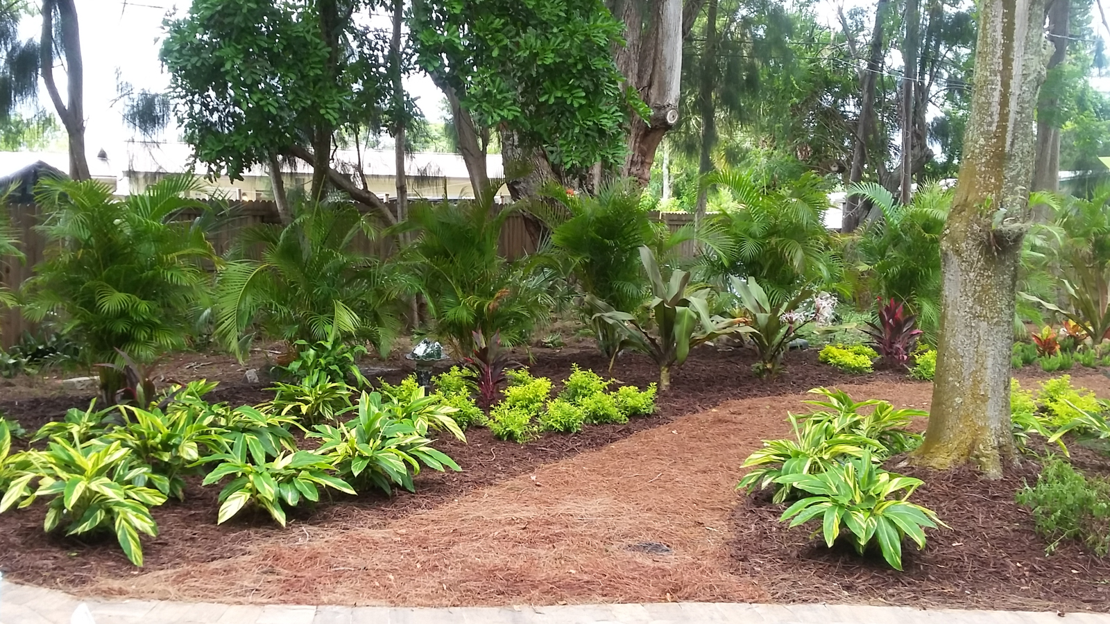 Pruning and Transplanting