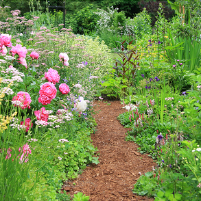 Outdoor Storm Relief Bulletin from Master Gardener Landscaping